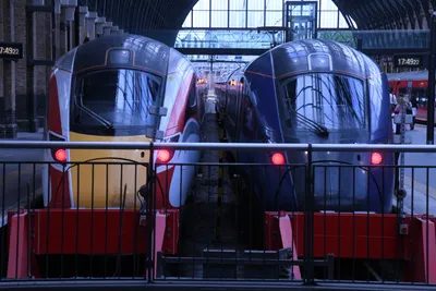 DSC_1584 (Large).JPG